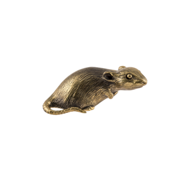 Мышка с вытянутой мордочкой на задних лапках П852