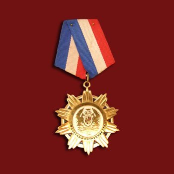Медаль ВМ9