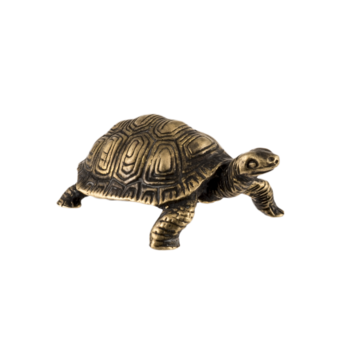 Черепаха П1416