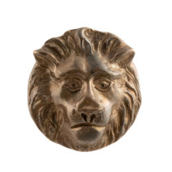 Ручка-кнопка "голова льва"