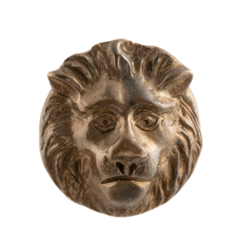 Ручка-кнопка "голова льва" Ф2647