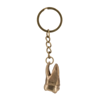 Брелок стоматолога(зуб)