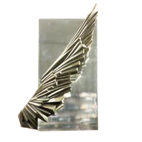 Приз Кинофестиваля "Зеркало" им. А. Тарковского