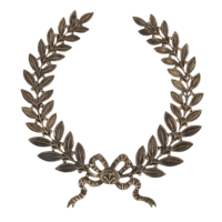 Накладка Ф259