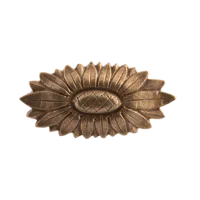 Декоративный элемент Ф1520