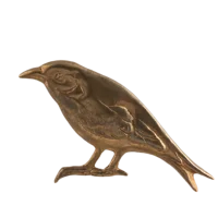 Декоративная птица