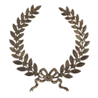 Накладка Ф259