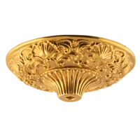 Потолочник