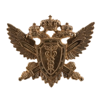 Орел большой налоговой полиции