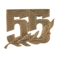 Знак "55 лет"
