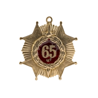 Медаль 65 лет М148
