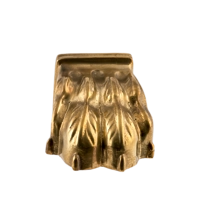 Мебельная ножка "львиная лапа"