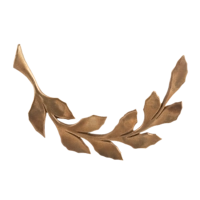 Декоративный элемент ф2121