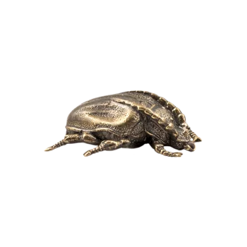 Жук майский П479