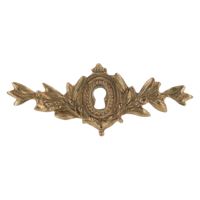 Ключевина декоративная