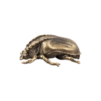 Жук майский П479