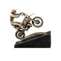 Приз чемпионата по мотогонкам П210