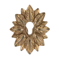 Ключевина декоративная