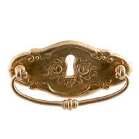 Ручка мебельная Ф229