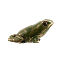 Лягушка с эмалью