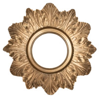 Потолочник