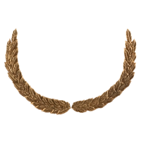 Накладка Ф3778