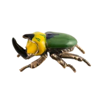 Жук носорог с эмалью