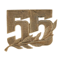 Знак "55 лет" ЗН190