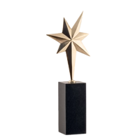 Приз "Звезда-семь дней"