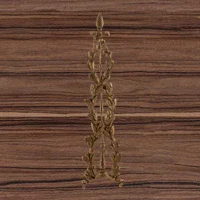 Wood-17