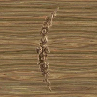Wood-2