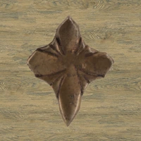 Wood-5