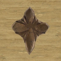 Wood-6