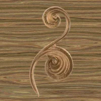 Wood-2